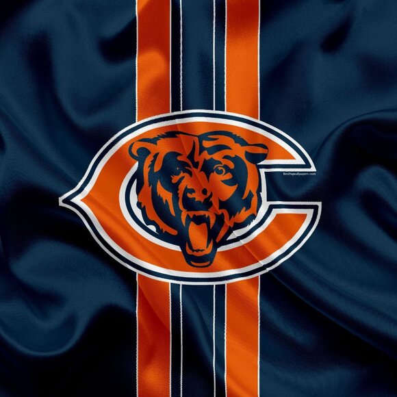 Chicago Bears Championship Ring... Fast shipping from USA - Picture 4 of 5